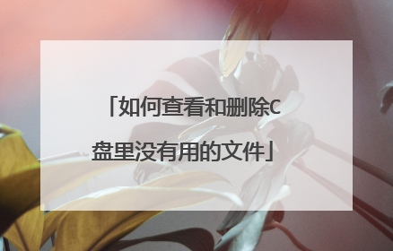 如何查看和删除C盘里没有用的文件