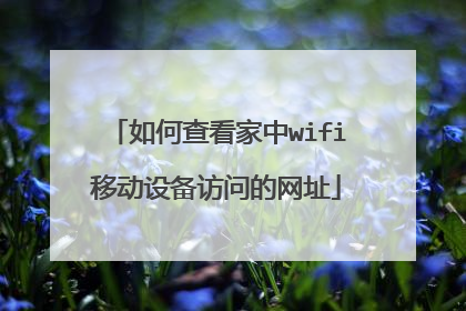 如何查看家中wifi移动设备访问的网址