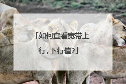 如何查看宽带上行,下行值?