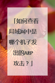 如何查看局域网中是哪个机子发出的ARP攻击?