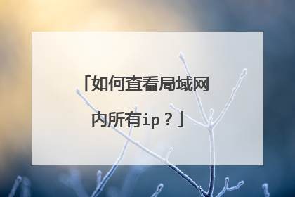如何查看局域网内所有ip?