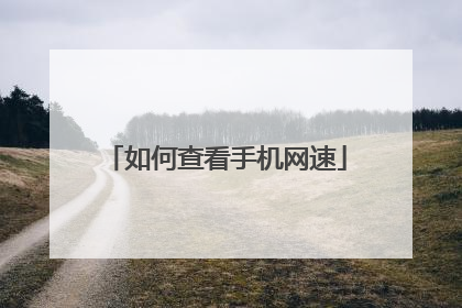 如何查看手机网速