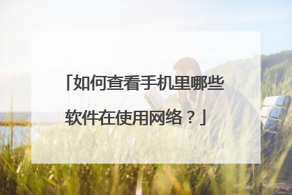 如何查看手机里哪些软件在使用网络?