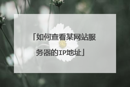 如何查看某网站服务器的IP地址