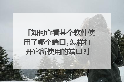 如何查看某个软件使用了哪个端口,怎样打开它所使用的端口?