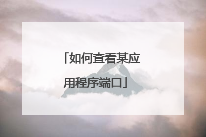 如何查看某应用程序端口