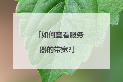如何查看服务器的带宽?