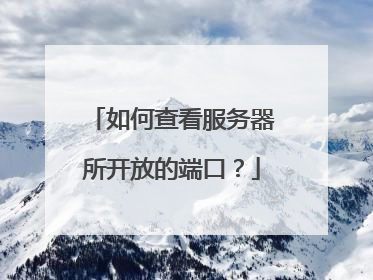 如何查看服务器所开放的端口?