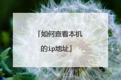 如何查看本机的ip地址