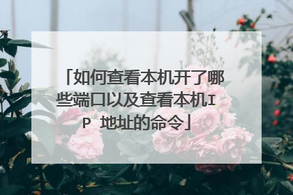 如何查看本机开了哪些端口以及查看本机IP 地址的命令
