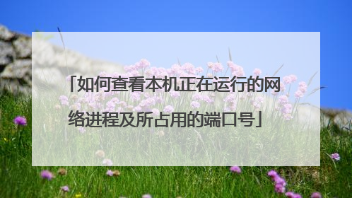 如何查看本机正在运行的网络进程及所占用的端口号