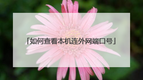 如何查看本机连外网端口号