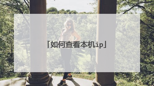 如何查看本机ip