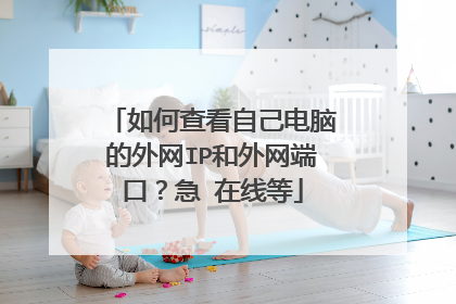 如何查看自己电脑的外网IP和外网端口？急 在线等