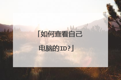 如何查看自己电脑的ID?