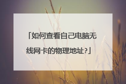 如何查看自己电脑无线网卡的物理地址?