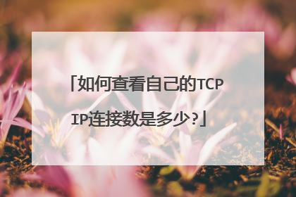 如何查看自己的TCPIP连接数是多少?