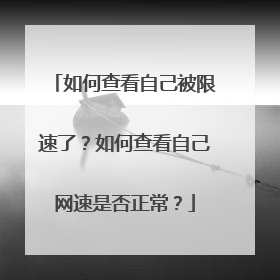 如何查看自己被限速了?如何查看自己网速是否正常?