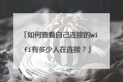 如何查看自己连接的wifi有多少人在连接?