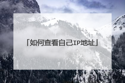 如何查看自己IP地址