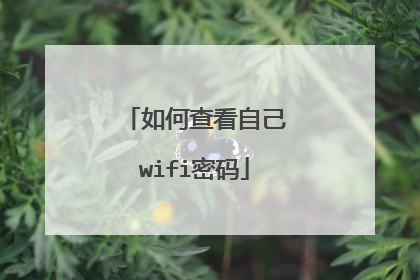 如何查看自己wifi密码