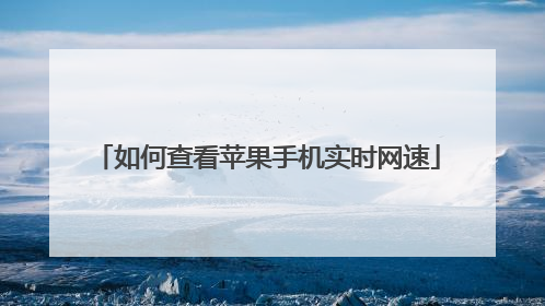 如何查看苹果手机实时网速
