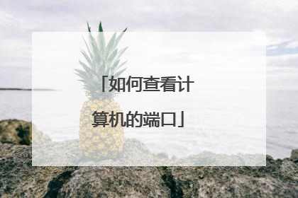 如何查看计算机的端口