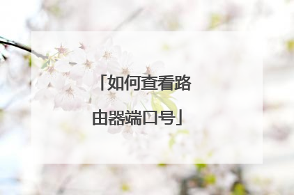如何查看路由器端口号
