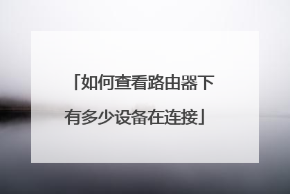 如何查看路由器下有多少设备在连接