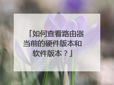 如何查看路由器当前的硬件版本和软件版本?
