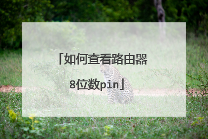 如何查看路由器8位数pin
