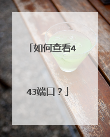 如何查看443端口？