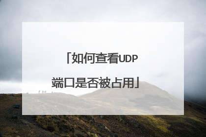 如何查看UDP端口是否被占用