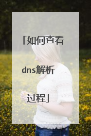如何查看dns解析过程