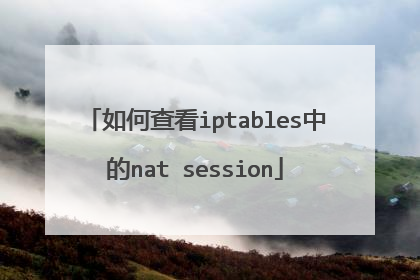 如何查看iptables中的nat session