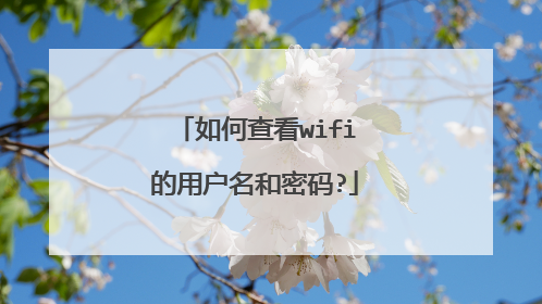 如何查看wifi的用户名和密码?