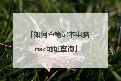 如何查笔记本电脑mac地址查询