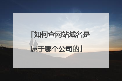 如何查网站域名是属于哪个公司的
