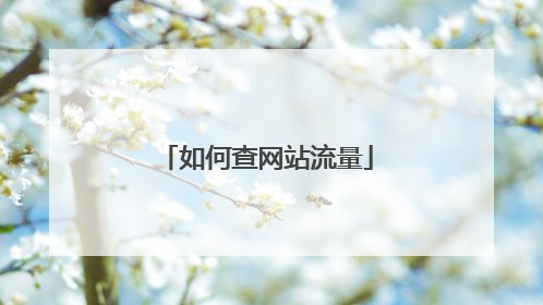 如何查网站流量