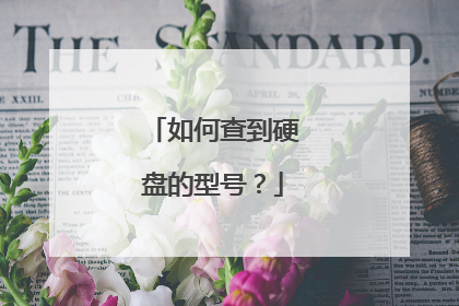 如何查到硬盘的型号?