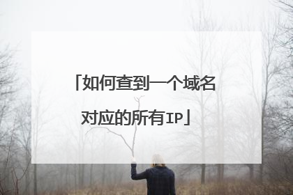 如何查到一个域名对应的所有IP