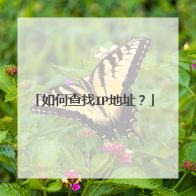 如何查找IP地址?