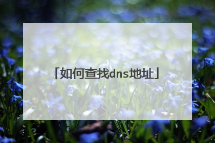 如何查找dns地址