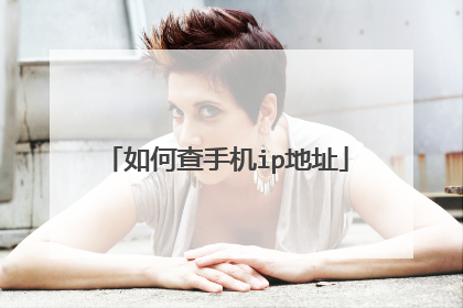 如何查手机ip地址