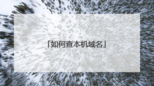 如何查本机域名