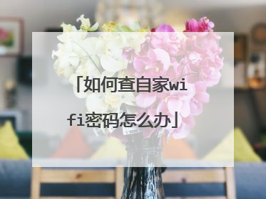 如何查自家wifi密码怎么办