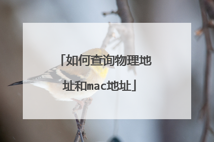 如何查询物理地址和mac地址