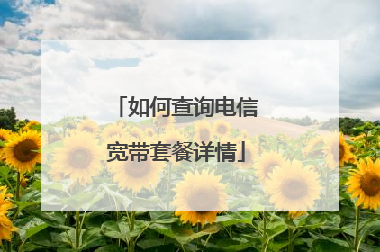 如何查询电信宽带套餐详情