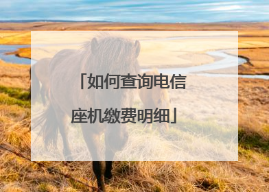 如何查询电信座机缴费明细