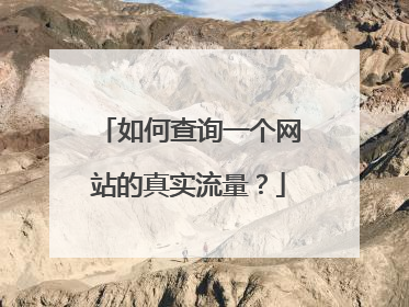 如何查询一个网站的真实流量？